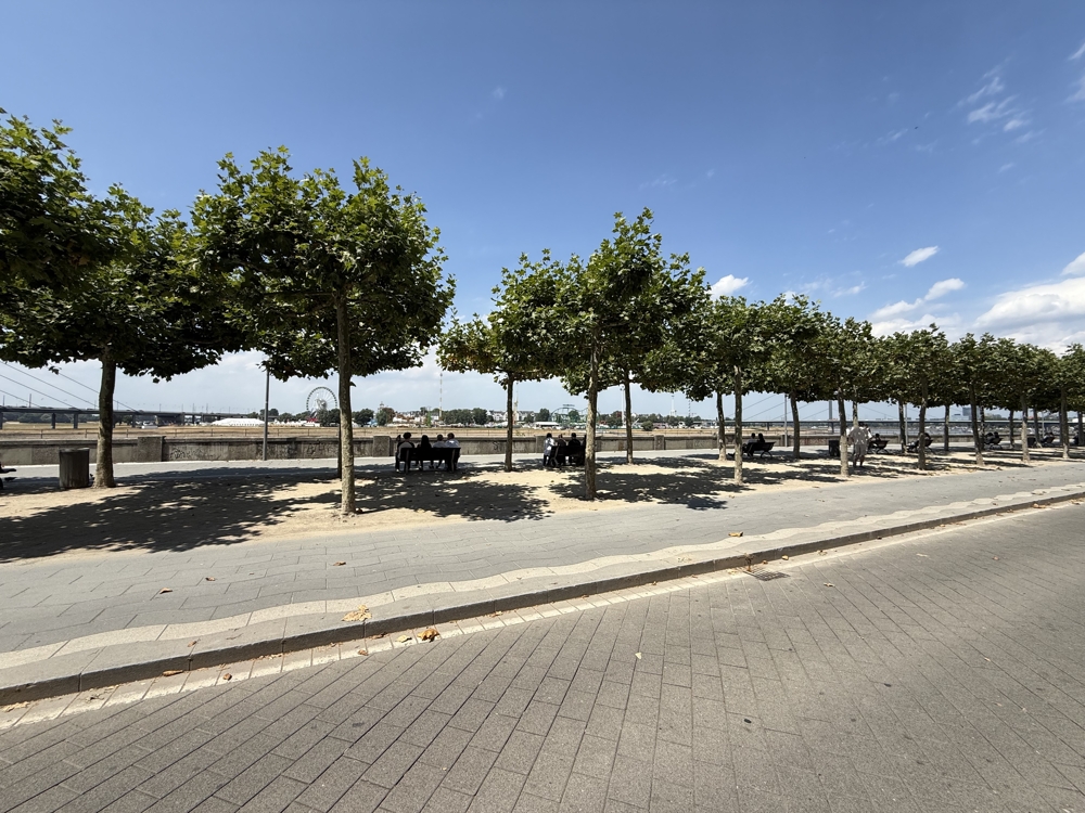 RHEINPROMENADE: BÜROEINHEIT mit HISTORISCHEM CHARME in LIEBLINGSLAGE von DÜSSELDORF